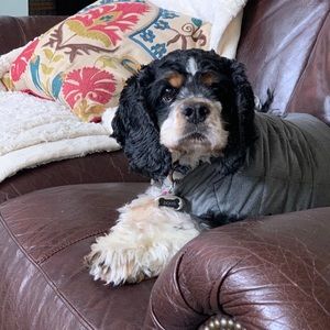 Meet your Posher, Tristan